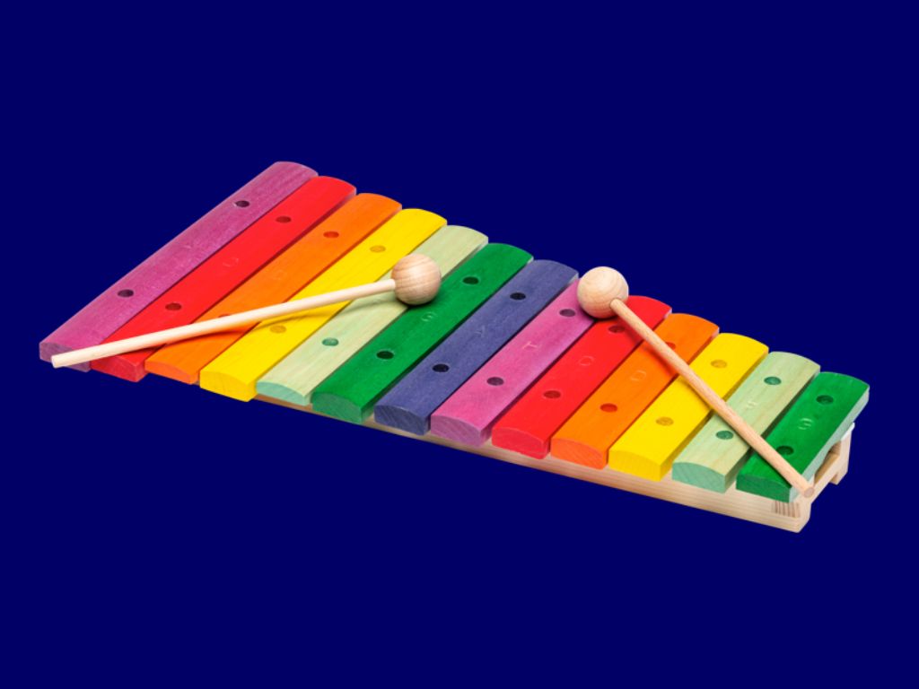 Xylophone séniors